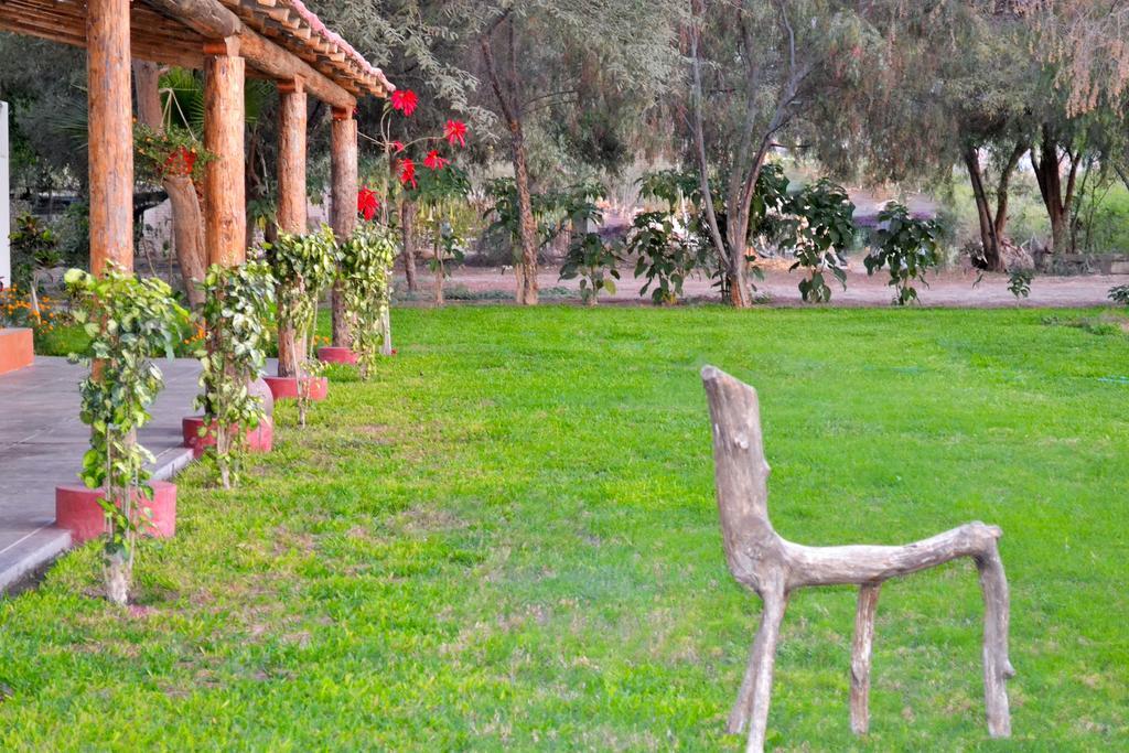 Hotel Fundo San Rafael ナスカ エクステリア 写真
